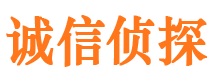 兴海市侦探调查公司